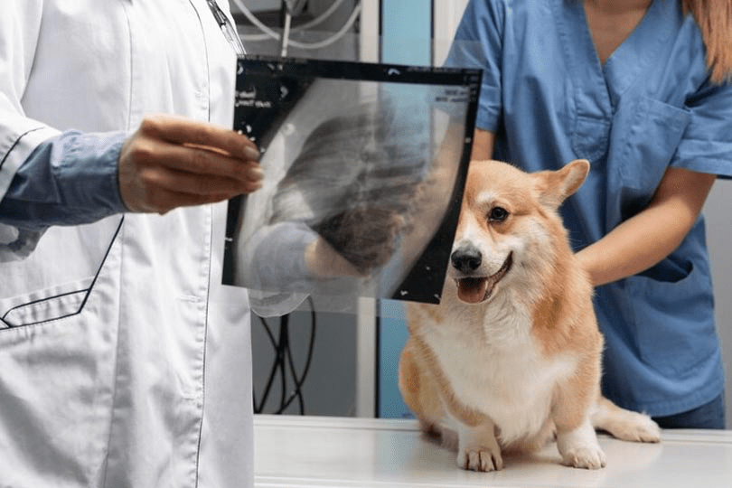 Digital x-rays