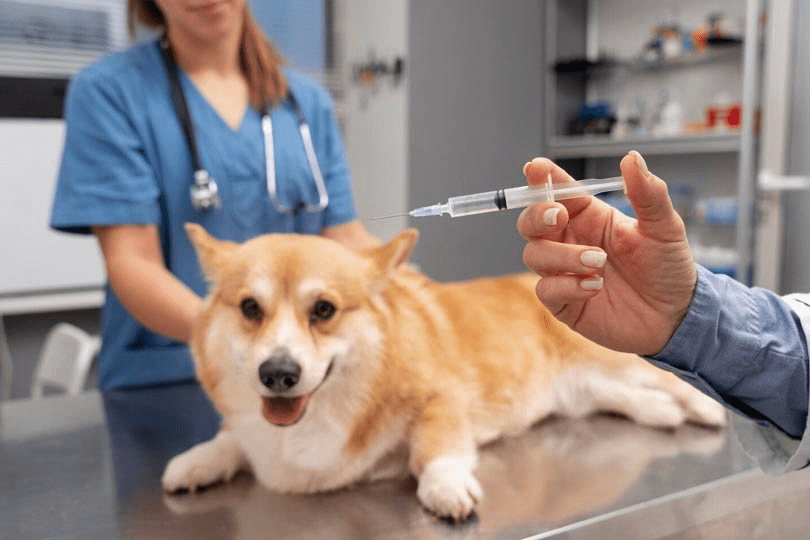 Vaccinations